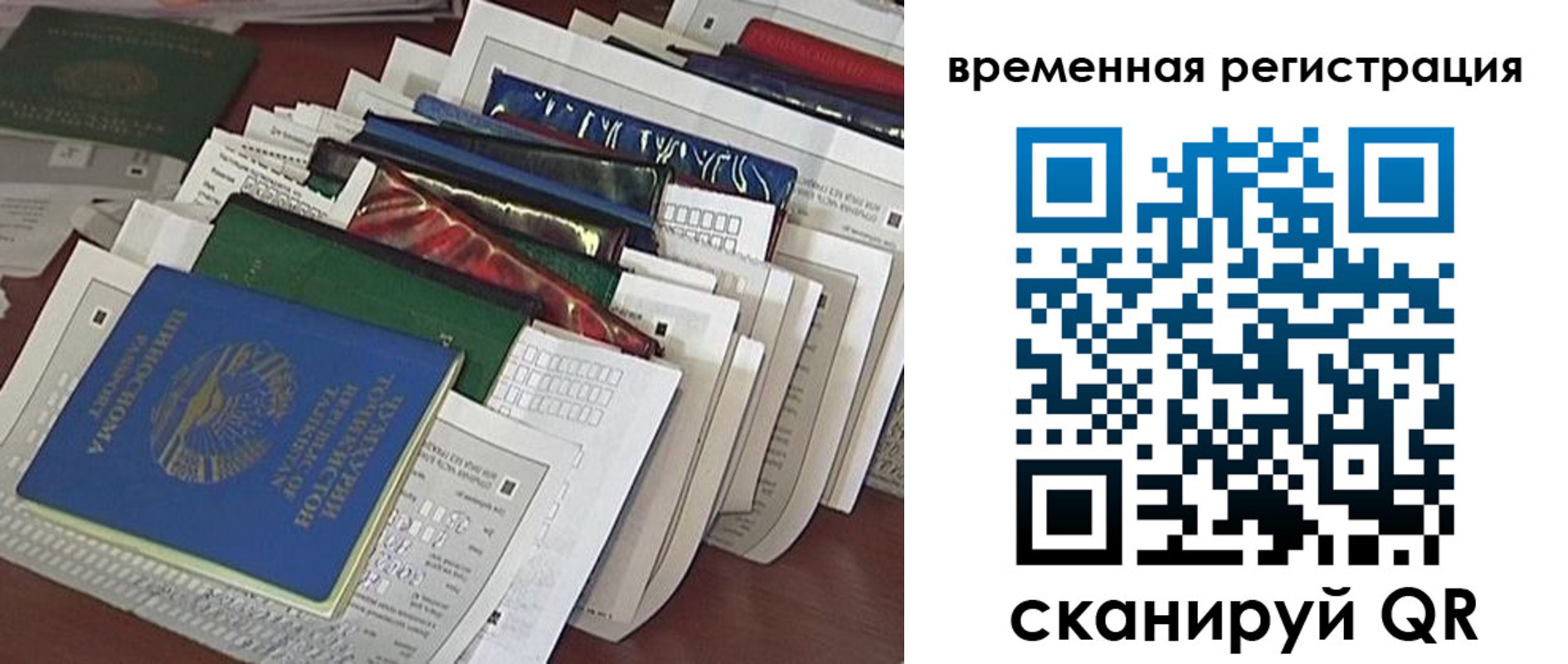 прописка для школы в Старом Осколе
